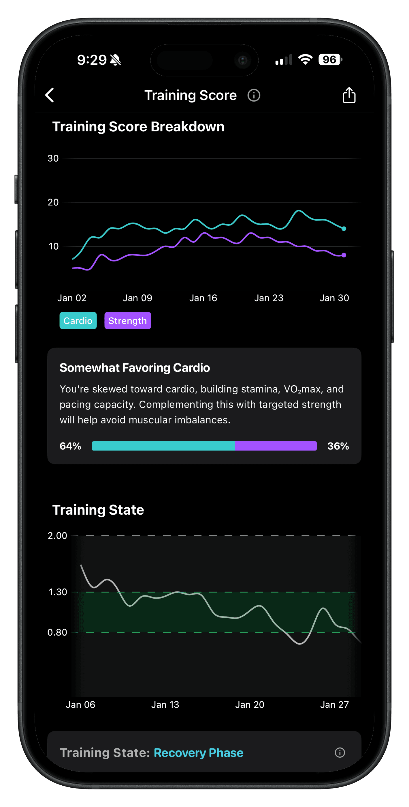 Training Score